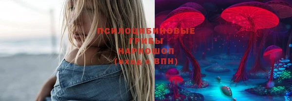 Альфа ПВП Пестово