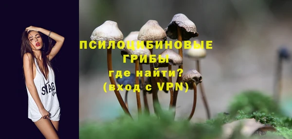МДПВ Алзамай