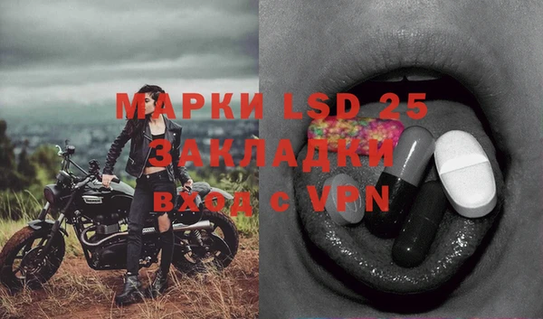 МДПВ Алзамай